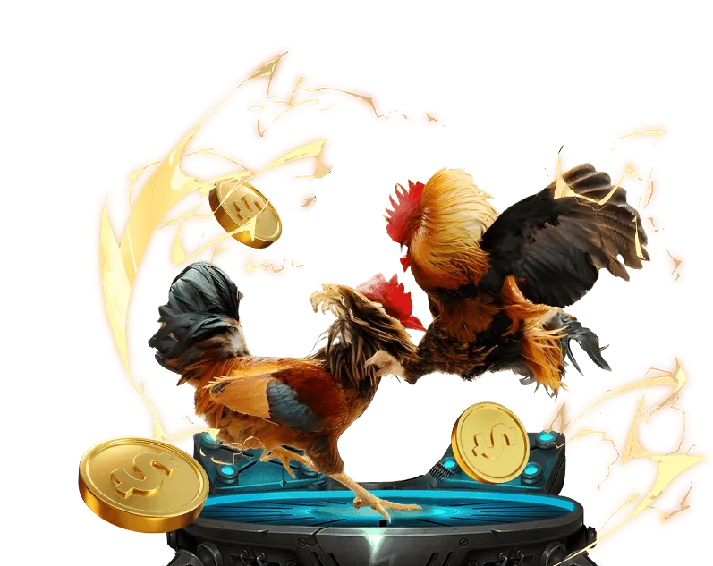 Đội ngũ EE88 đang làm việc với sứ mệnh và tầm nhìn